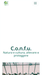 Mobile Screenshot of confu.it